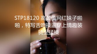 极品女神高端劲爆身材御姐土豪专属宠物▌晚晚酱 ▌淫荡猫咪的肉棒奖励 肛塞性感女奴 狂肏白虎口爆吞食精浆