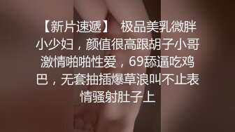 红肥绿瘦 视频版 软软