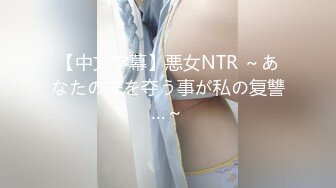 【中文字幕】悪女NTR ～あなたの夫を夺う事が私の复讐…～