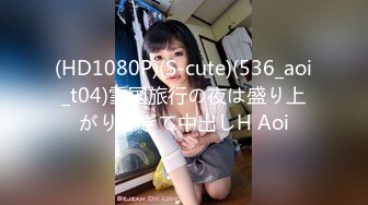 (HD1080P)(S-cute)(536_aoi_t04)雪国旅行の夜は盛り上がりすぎて中出しH Aoi