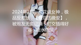 网红推特爆乳高铁女神『Naomii』性爱内射户外露出VIP订阅 与男友众多刺激场所性爱中出