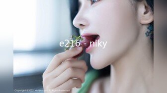 e216 - niky