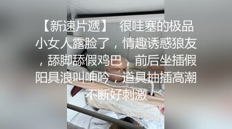 国产CD系列超美的伪娘月奴巨乳女仆装被直男激啪口爆射嘴里