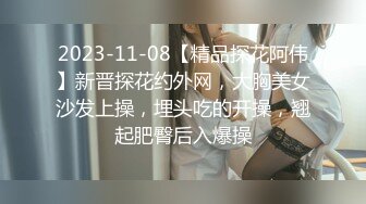 2023-11-08【精品探花阿伟】新晋探花约外网，大胸美女沙发上操，埋头吃的开操，翘起肥臀后入爆操