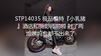 帝都女神骚狗一条