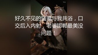 麻豆传媒 MMZ024 我与姐夫的畸恋 偷欢强制性爱游戏