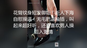 【寂寞饥渴的嫂子】一杯红酒唤醒的却是难耐的骚动 无尽的诱惑 全裸勾引单男激情性爱大战 牛奶吸屌啪啪操