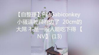 【自整理】P站Gabiconkey  小骚逼被操卷边了  20cm的大屌 不是一般人能吃下得 【NV】 (13)