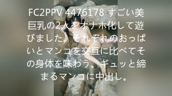 FC2PPV 4476178 すごい美巨乳の2人をオナホ化して遊びました。それぞれのおっぱいとマンコを交互に比べてその身体を味わう。ギュッと締まるマンコに中出し。