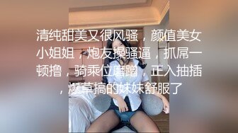 清纯甜美又很风骚，颜值美女小姐姐，炮友操骚逼，抓屌一顿撸，骑乘位磨蹭，正入抽插，爆草搞的妹妹舒服了