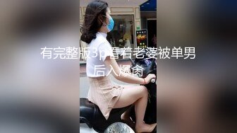 有完整版3p看着老婆被单男后入爆肏