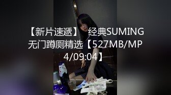 【新片速遞】✌经典SUMING无门蹲厕精选【527MB/MP4/09:04】