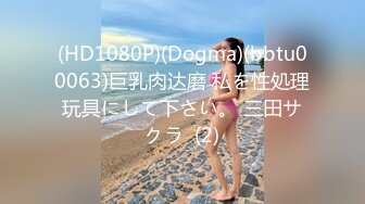 李公子约花臂纹身巨乳翘臀少妇,穿上黑丝舔屌吸奶,特写后入猛操极品大屁股