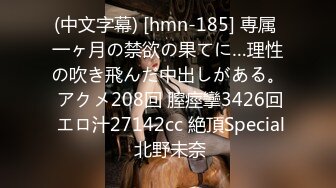 (中文字幕) [hmn-185] 専属 一ヶ月の禁欲の果てに…理性の吹き飛んだ中出しがある。 アクメ208回 膣痙攣3426回 エロ汁27142cc 絶頂Special 北野未奈