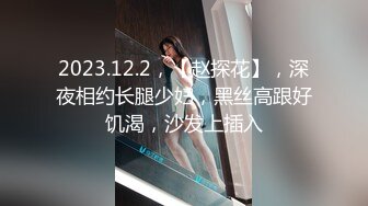 2023.12.2，【赵探花】，深夜相约长腿少妇，黑丝高跟好饥渴，沙发上插入