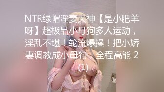 NTR绿帽淫妻大神【是小肥羊呀】超极品小母狗多人运动，淫乱不堪！轮流爆操！把小娇妻调教成小母狗，全程高能 2 (1)