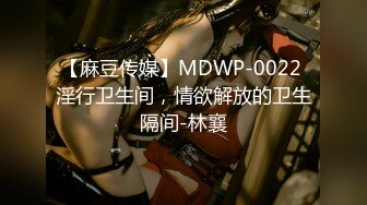 【麻豆传媒】MDWP-0022 淫行卫生间，情欲解放的卫生隔间-林襄