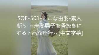 SOE-501-とこな由羽-素人斬り ～未熟男子を骨抜きにする下品な淫行～[中文字幕]