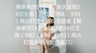 Hotel偷拍系列彩虹情趣房4月4.21单位领导约啪少妇同事