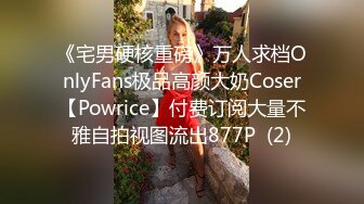 《宅男硬核重磅》万人求档OnlyFans极品高颜大奶Coser【Powrice】付费订阅大量不雅自拍视图流出877P  (2)