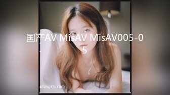 国产AV MisAV MisAV005-05