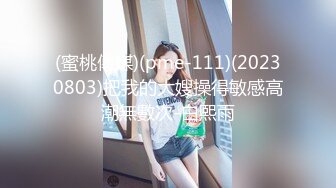 (蜜桃傳媒)(pme-111)(20230803)把我的大嫂操得敏感高潮無數次-白熙雨