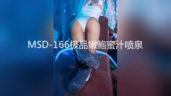 MSD-166极品嫩鲍蜜汁喷泉