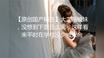 美丽侧颜的老婆卖力的口交中