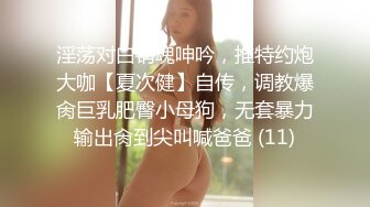 淫荡对白销魂呻吟，推特约炮大咖【夏次健】自传，调教爆肏巨乳肥臀小母狗，无套暴力输出肏到尖叫喊爸爸 (11)