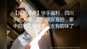 沈樵全集 10v 裸戏替身演员 沈樵 &#8211; 9.女色狼勾引外卖小哥