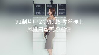 91制片厂 ZCM015 屌丝硬上风骚白富美 李蓉蓉