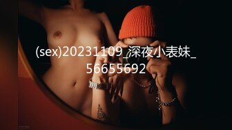 兔子先生TZ-158深夜电车痴女梦