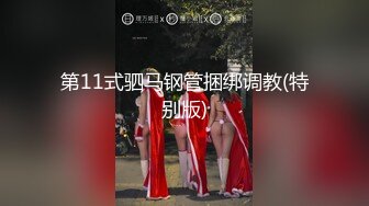 第11式驷马钢管捆绑调教(特别版)