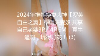 国产麻豆AV MD MD0063 女優面試員 袁庭妮