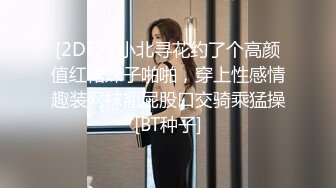 天美传媒 tmtc-009 趁老婆回娘家体验女仆服务-仙儿媛