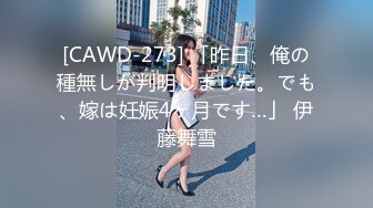 [CAWD-273] 「昨日、俺の種無しが判明しました。でも、嫁は妊娠4ヶ月です…」 伊藤舞雪