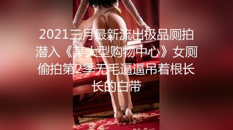 2021三月最新流出极品厕拍潜入《某大型购物中心》女厕偷拍第2季无毛逼逼吊着根长长的白带