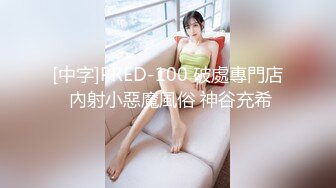 云上会所KTV之偷拍女厕所YSHS 100