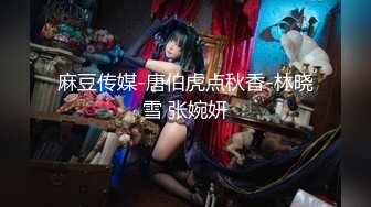 麻豆传媒-唐伯虎点秋香-林晓雪 张婉妍