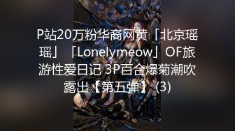 P站20万粉华裔网黄「北京瑶瑶」「Lonelymeow」OF旅游性爱日记 3P百合爆菊潮吹露出【第五弹】 (3)